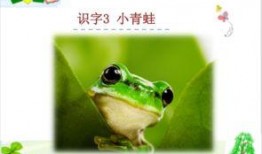 国产91小青蛙,探寻童年记忆中的欢乐精灵