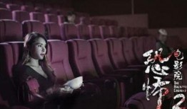 国产夜影院,探索国产夜影院的视听盛宴