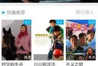 国产毛片毛片精品天天看软件,揭秘热门软件背后的内容与影响