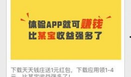 国产毛片毛片精品天天看软件,揭秘热门软件背后的内容与影响