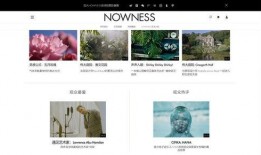 国产恋足网站,揭秘国产恋足网站的独特魅力