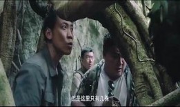 国产免费的野战视频,揭秘真实战场上的英勇瞬间