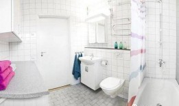 国产厕所在线,创新设计引领绿色环保新潮流