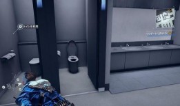 国产厕所在线,创新设计引领绿色环保新潮流