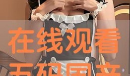 国产双飞在线,探索中国影视产业的创新与突破